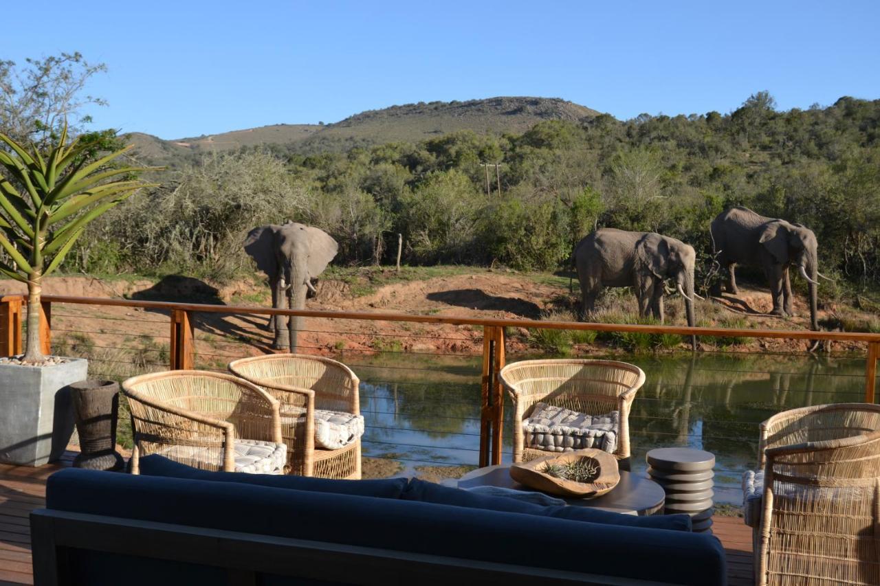 Barefoot Addo Elephant Lodge Esterno foto